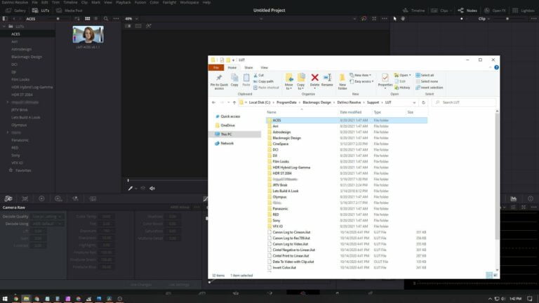 Luts folder in davinci resolve