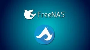 Still using FreeNAS and Ture Command As my storage solution.