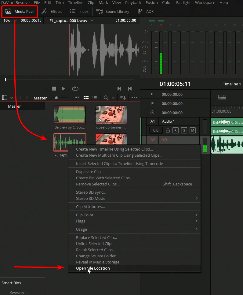 davinci resolve voice over file