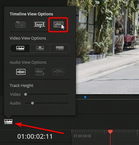 timeline view options