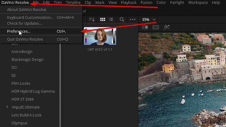 davinci resolve preferences