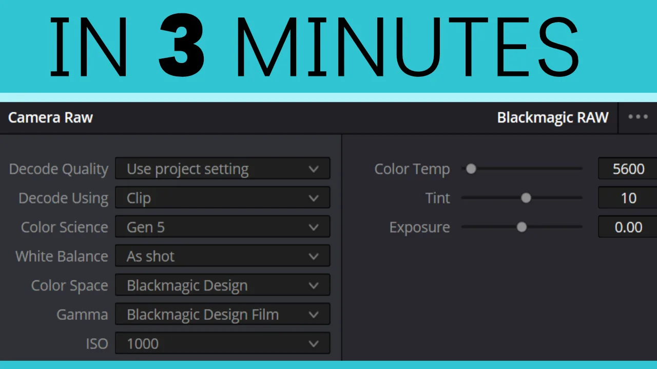DaVinci Resolve Camera RAW Explained