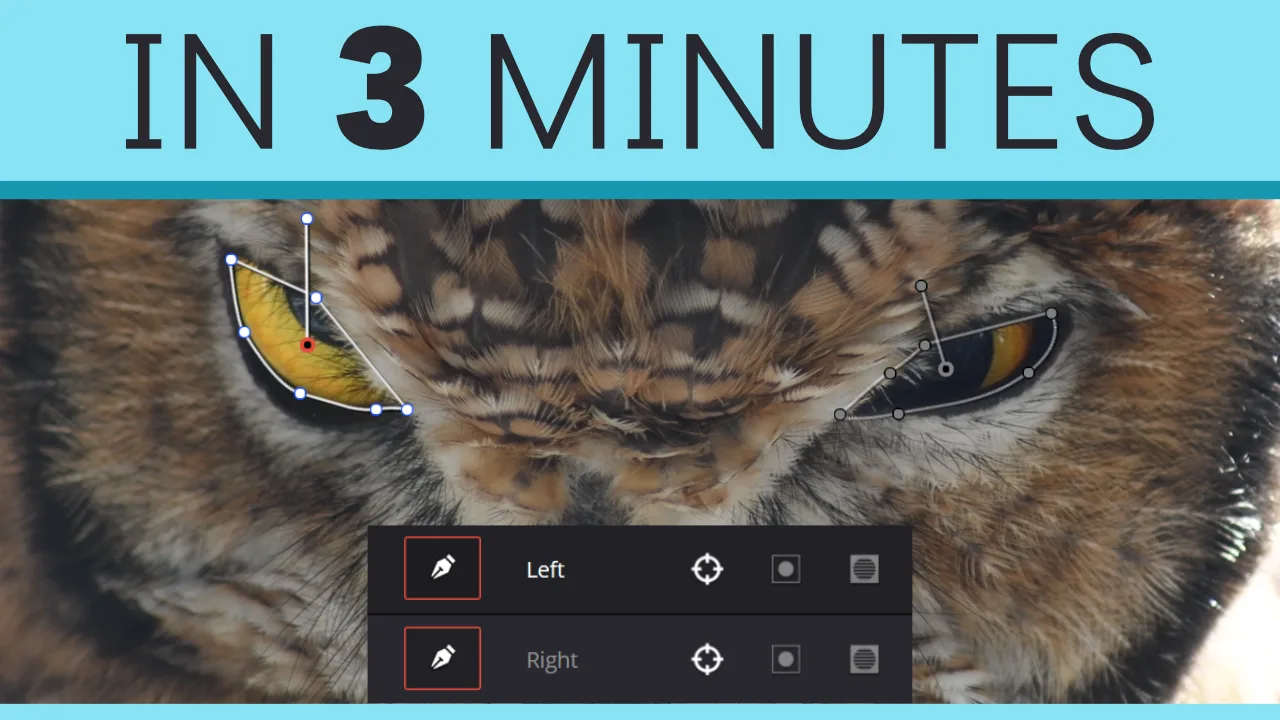 DaVinci Resolve Power Windows Explained
