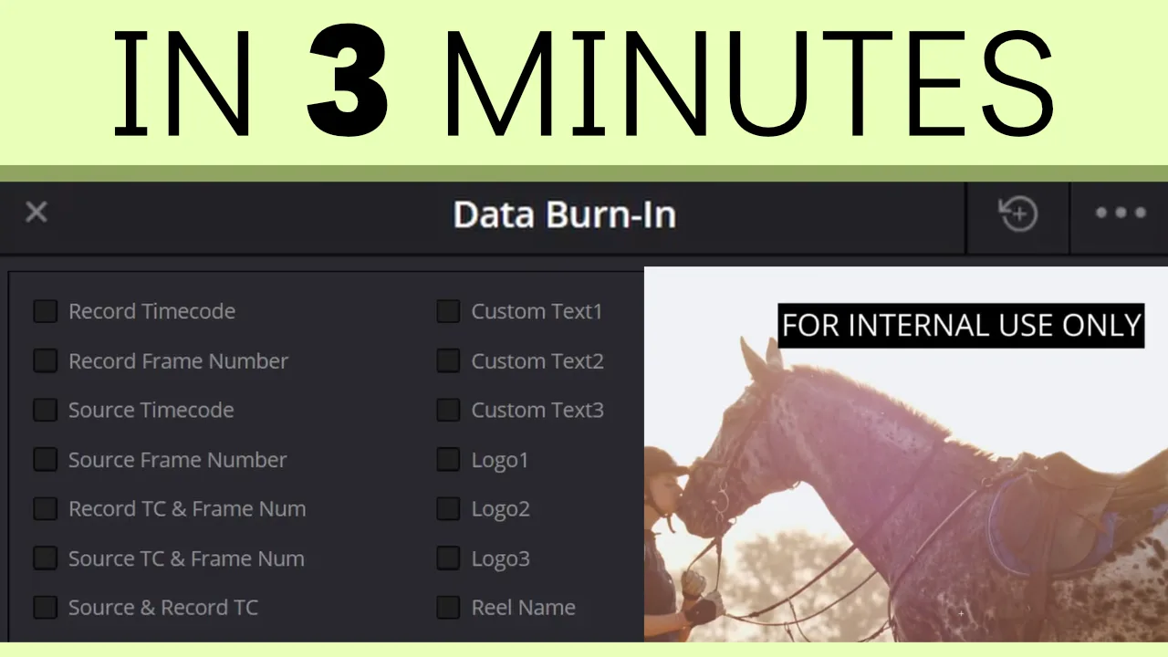 DaVinci Resolve Data Burn-In